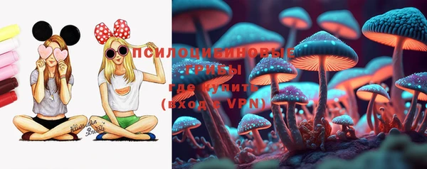 ГАЛЛЮЦИНОГЕННЫЕ ГРИБЫ Балабаново